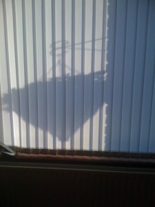 shilouette of a hanging basket