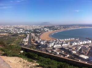 canaries 075