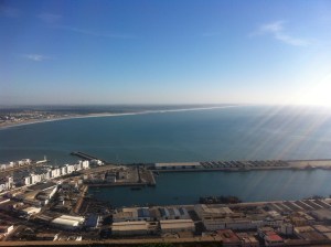 canaries 076