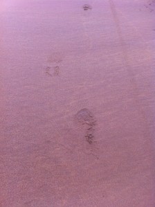 portrush parkrun 008