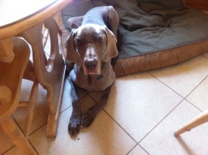 Max when he's NOT being hyper