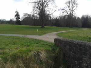 20150321_100845 - Copy (2)