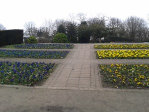 20150328_081419 - Copy - Copy - Copy