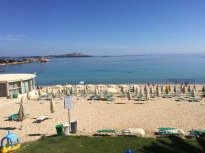 IMG_7431