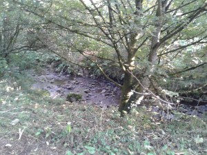20151017_091230