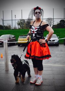 12190848_943683522335004_1907729137040156686_n