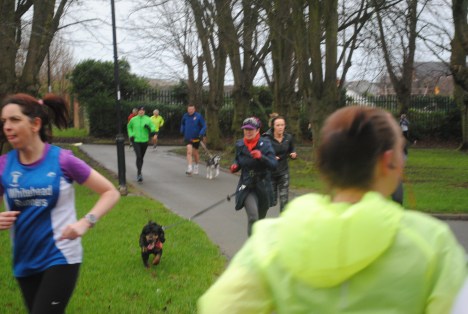 24757730651_e254f1ca2b_o