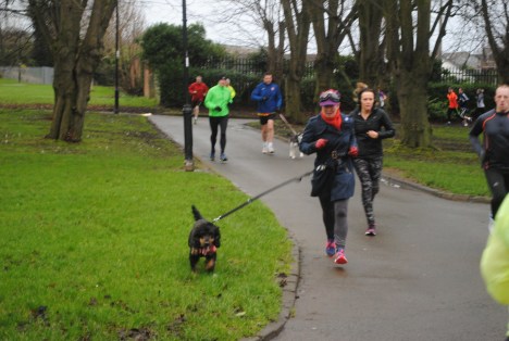 24851183095_0dec0d185d_o