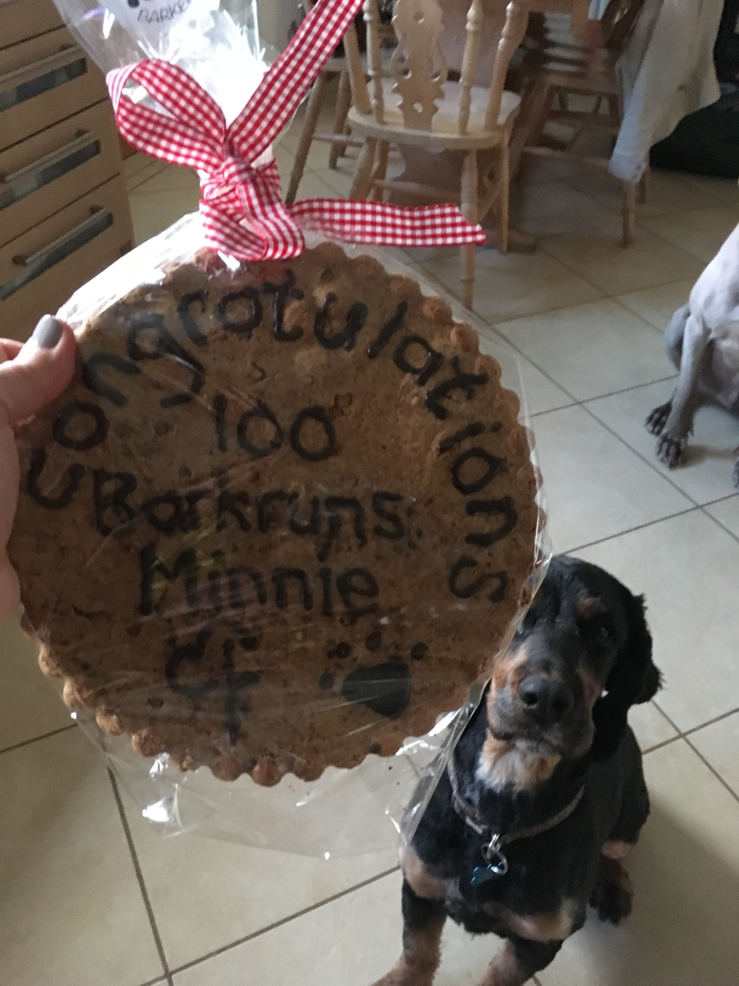 minnies 100th 008
