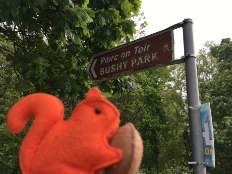 IMG_1590 - Copy - Copy