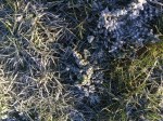 IMG_0747